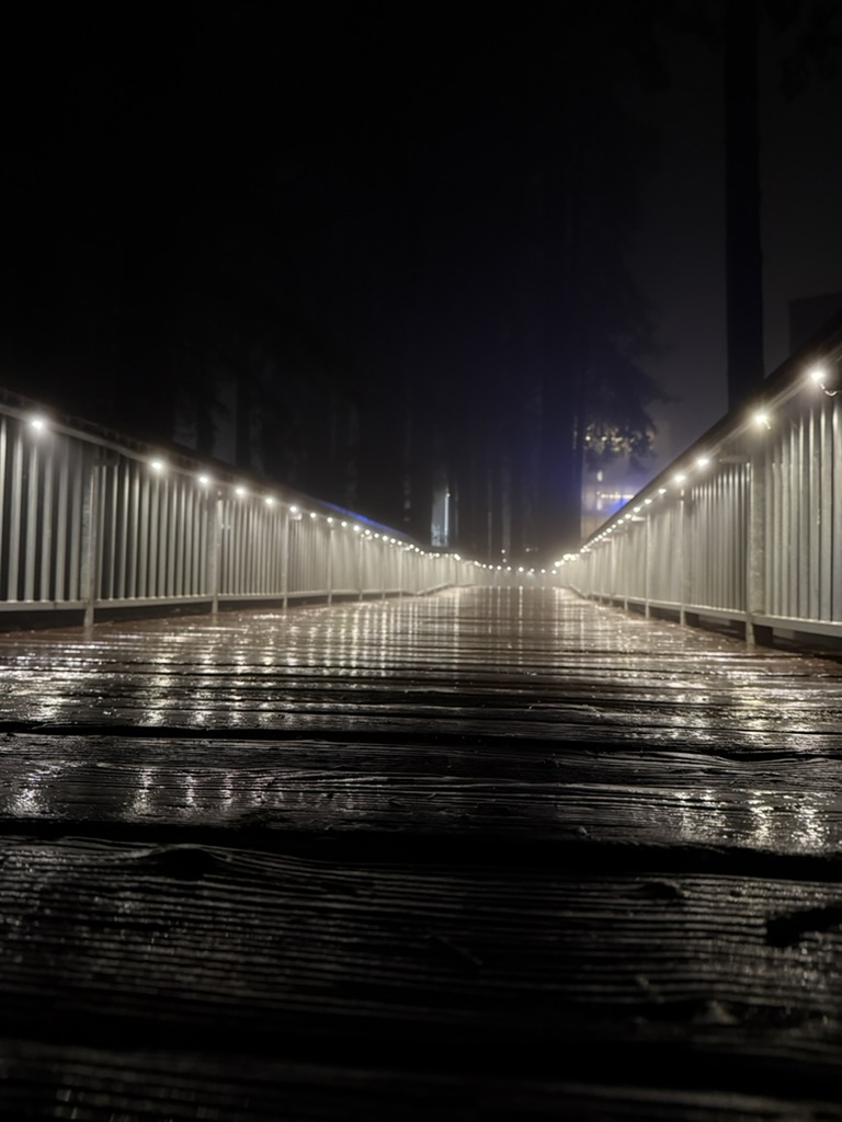 Wooden pedestrian bridge through the redwoods at UC Santa Cruz at night